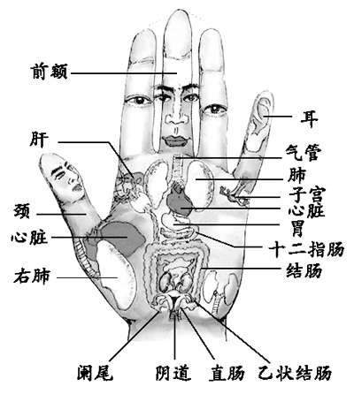 保健養(yǎng)生：從手掌看健康 掌紋提示亞健康