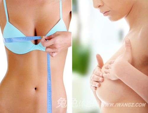 兔兔體驗(yàn)網(wǎng) 什么樣的乳房最美麗