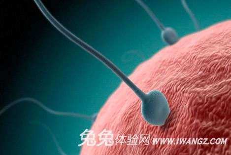 男人精液對女性健康的益處