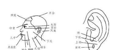 三叉神按摩治療有大作用