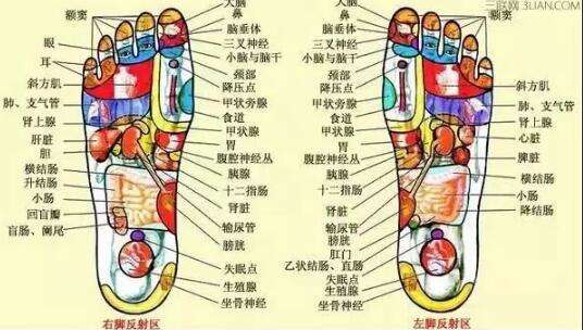 北京足部反射區(qū)的按摩手法