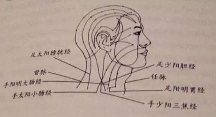 人體53個穴位功效按摩方法