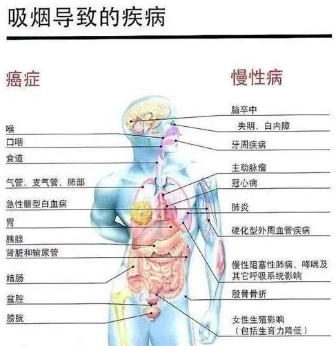 喝茶，真的能預(yù)防癌癥嗎？