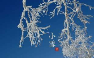 小雪節(jié)氣養(yǎng)生