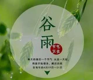 老中醫(yī)教你谷雨養(yǎng)生