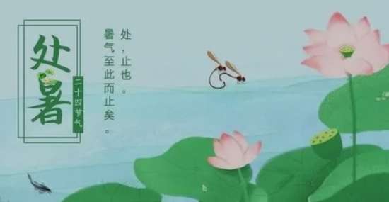 二十四節(jié)氣養(yǎng)生篇之處暑