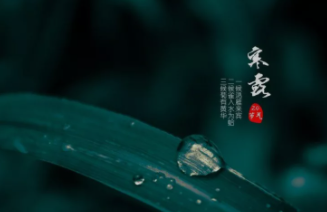 寒露養(yǎng)生：宜潤肺生津，健脾益胃