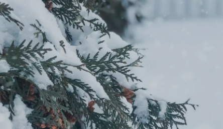 今日大雪:陰氣最盛百病侵襲，養(yǎng)生補益要做好這些事