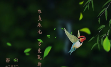 春分艾灸：順時養(yǎng)生平衡陰陽，疏肝養(yǎng)脾祛濕開郁