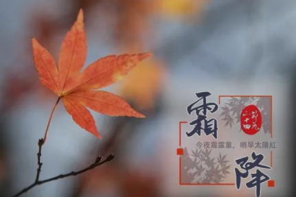 秋已逝，冬將至，霜降時節(jié)養(yǎng)生要點在這里