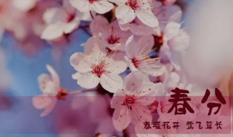 春分養(yǎng)肝養(yǎng)顏、平衡陰陽，你不知道的養(yǎng)生秘訣