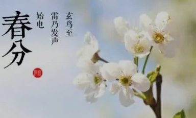 春分養(yǎng)生小妙招